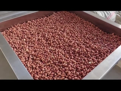 Kontrola PLC Kontynuacyjne orzechy Pieczarnia Kontynuacyjne orzechy Grzejnik suszarka/grzejnik