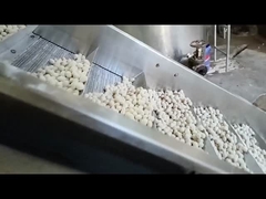 Maszyna do ciągłego smażenia