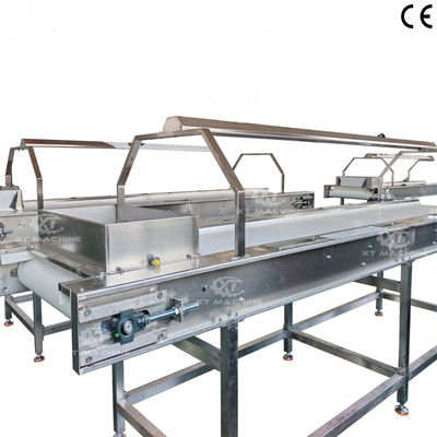 Dobra cena. SUS304 Food Grade Automatic Conveyor Belt for Food Processing Plants w Internecie